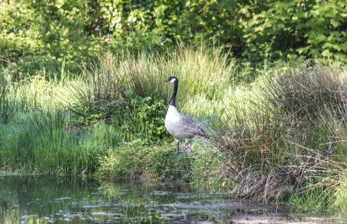 Foxglove - Luxurious Barn Conversion - Blossom Farm - Foto 48