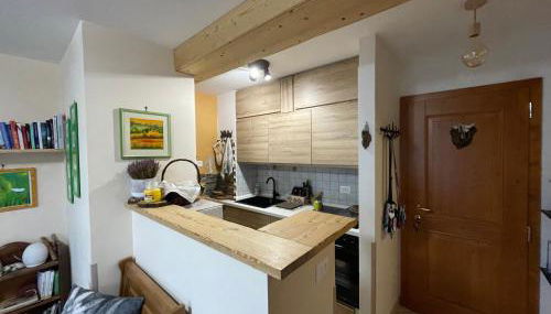 Sasso Rosso - Photo 5, stove