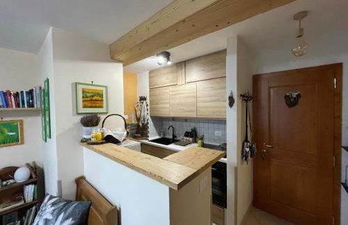 Sasso Rosso - Photo 5