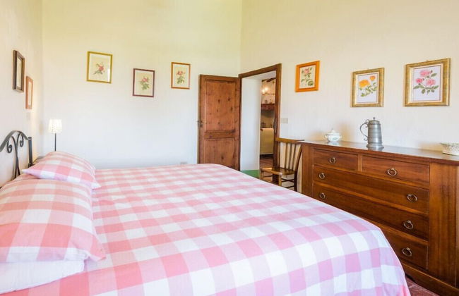 Verdidea - Podere del Mezzadro - Foto 15