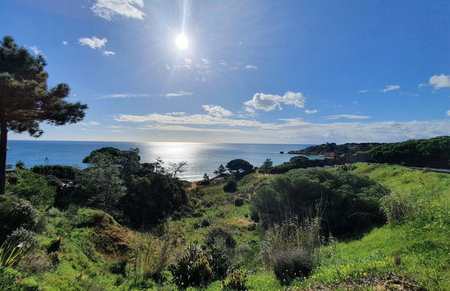 Quinta Pedra dos Bicos - Foto 36