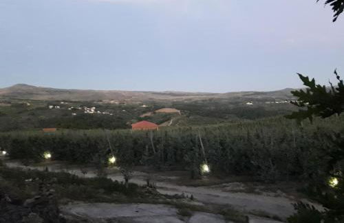 Casa do Feitor - Douro - Quinta da Cabrida - Foto 55