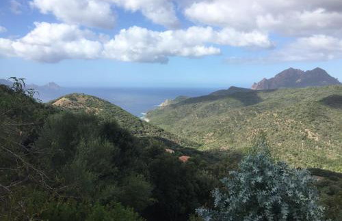 Les Asphodèles - Foto 29