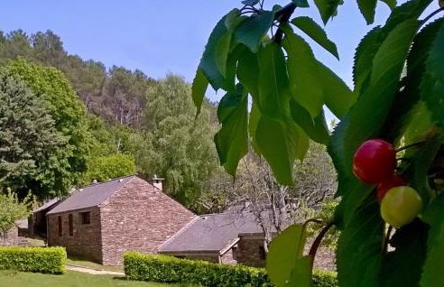 Les Hauts de Saint Privat - Foto 29