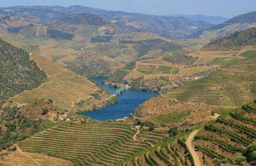 Casa do Arco - Photo 54