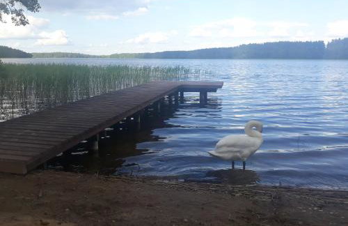 Ostoja Stacze - Foto 29