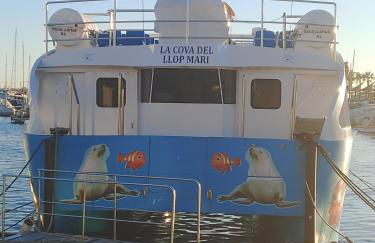 sol y arena - Photo 20