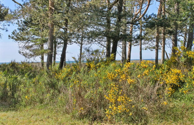 "Hatem" - 200m from the sea - Foto 15