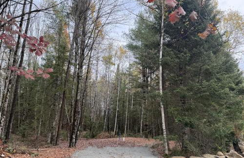 Balsam Fir Mirror House at FarAway Pond - Foto 8