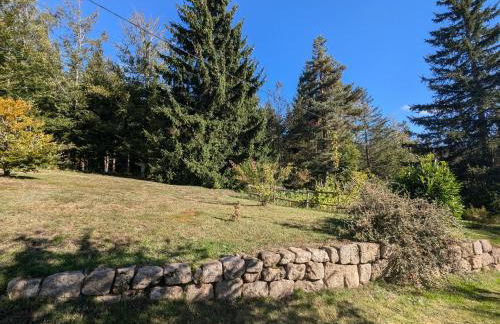 Gîte Nature au Chambon-sur-Lignon: Terrasse, Wifi, Proche Activités et Commerces - FR-1-582-137 - Foto 11