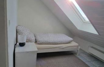 FeWo Sundernblick - Foto 8