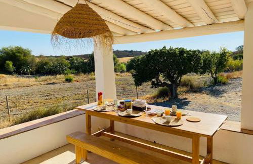 Casa na horta, planície alentejana - Foto 10