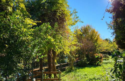 Bella Vista Lago Maggiore Einzigartiger Blick 365 Tagen - Foto 71