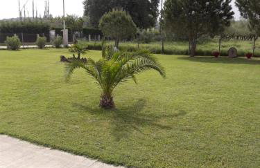 Konaki Guesthouse - Photo 37