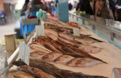 Rêve de vacances Studio proche de la plage - Foto 10