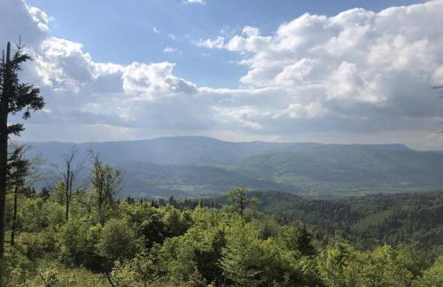 Stodoła 55 - Foto 58