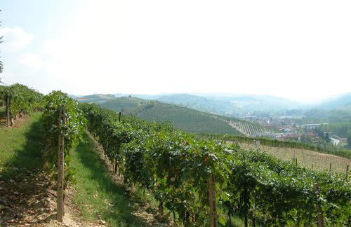 La Briccola - Foto 62