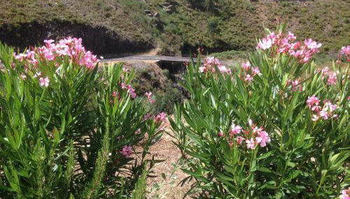 Casas do Sinhel - Foto 3, Garden view