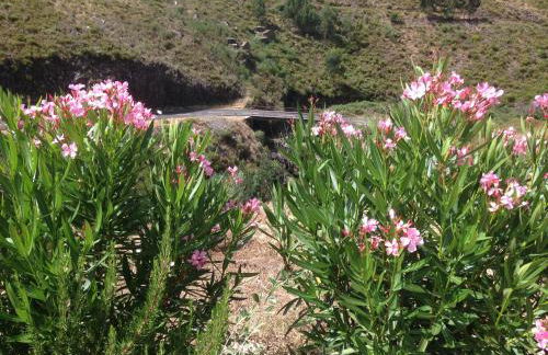 Casas do Sinhel - Foto 3