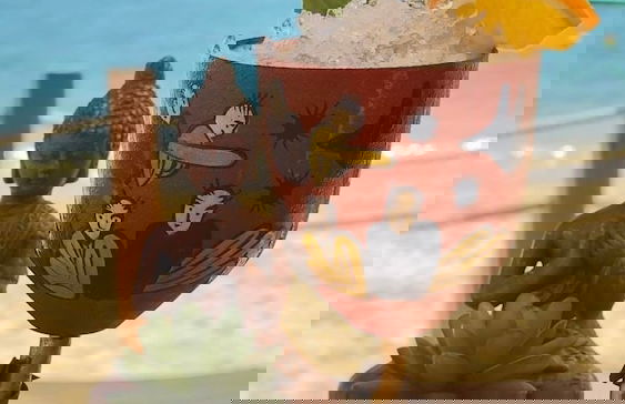 Villa in Los Cabos with swimming pool and garden - Foto 27