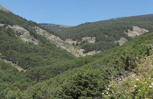 La Casita de Teléfonos - Foto 23