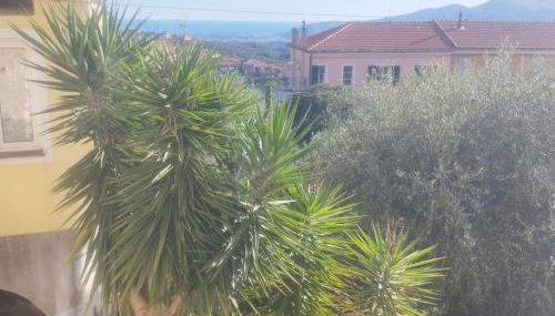 Serenità tra gli ulivi - Foto 5, Other