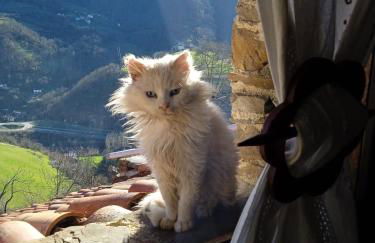 Cobijo de Villar - Foto 16