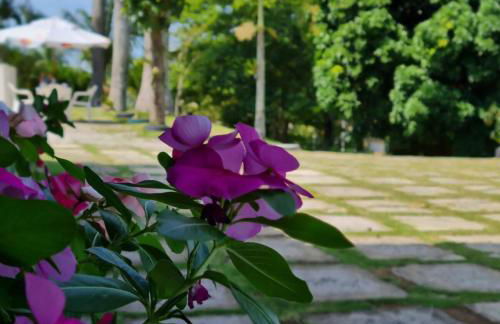 Chácara Casa Sítio Piscina Churrasqueira Cervejeira - Foto 26