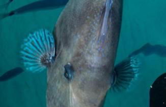 Villetta Cinzia Vista Mare - Foto 31