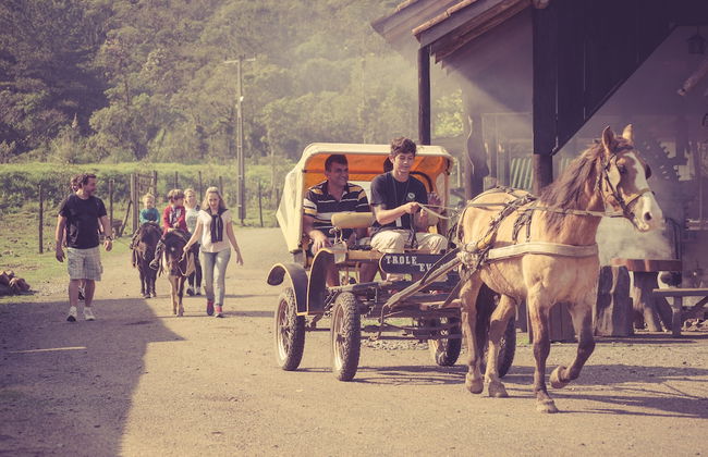 Hotel Fazenda Dona Francisca - Foto 69