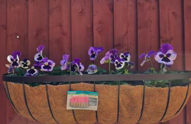 Cozy flat & Lovely garden, High Speed WiFi - Foto 26