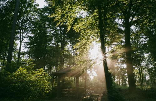 Bürgstadt, Am Bischof mit Sonnenterrasse, 1 bis 4 Betten - Foto 52