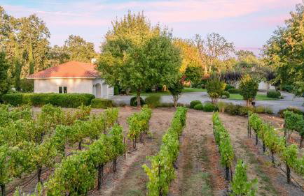 Vineyard Estate w Pool Spa Bocce Ball Mins to Wineries Park Lawndale Manor by AvantStay - Foto 43