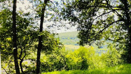 Chalet climatisé dans un écrin de verdure - Foto 4