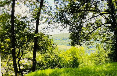 Chalet climatisé dans un écrin de verdure - Foto 4