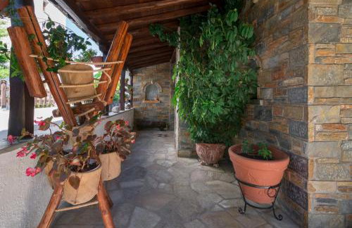 Villa Begonia by the sea - Photo 3