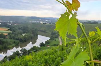 Ferienwohnung Schöne Aussicht - Foto 29