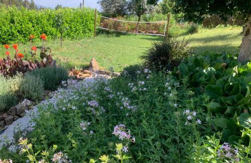 Manor Meeder - Foto 20