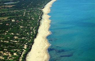 Villa del Palmeto - Foto 37