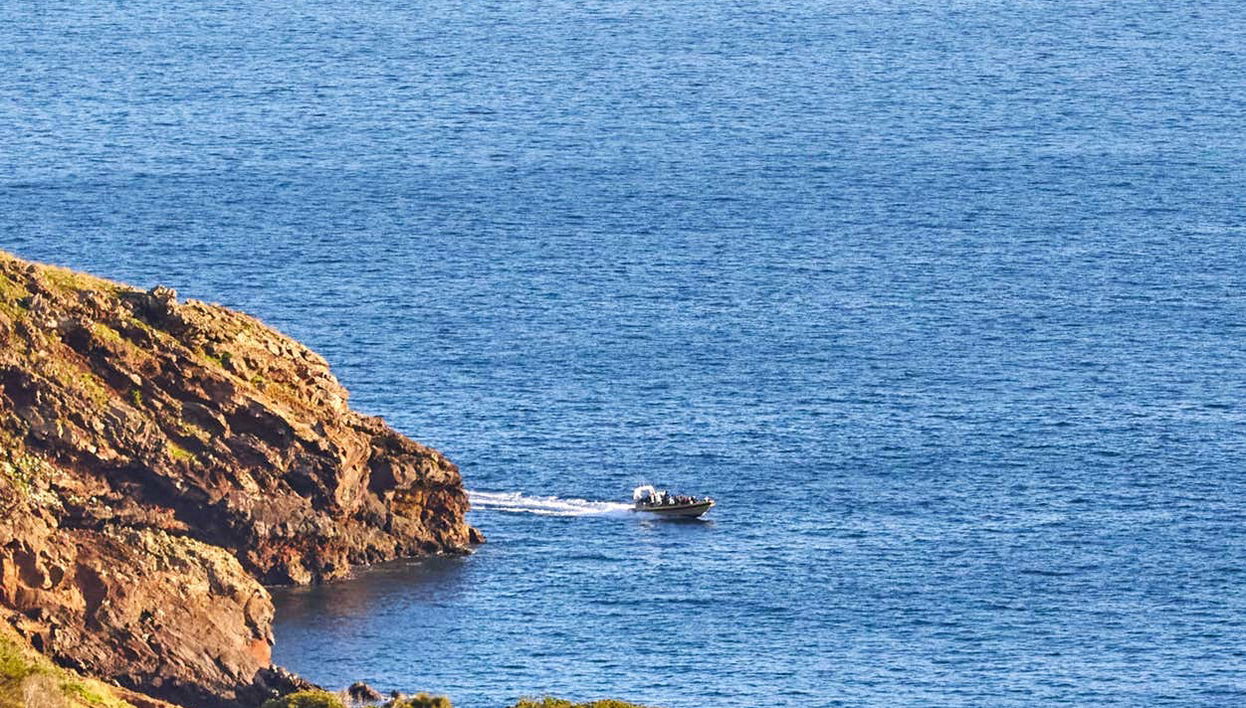 Ponta de Sao Lourenço Cruise - Photo 1
