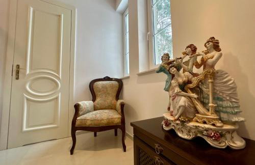 Villa Otolice obok Łowicza, 6 sypialni, balia, sauna, basen, snooker, 50 minut od Warszawy i Łodzi - Foto 50