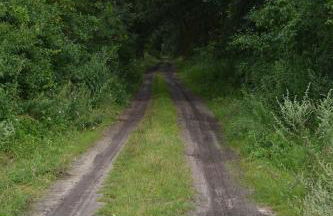 Pension up´n Dörp - Foto 36