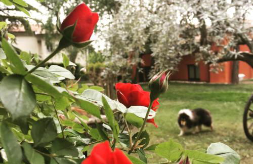 Ca' Boschetto - Foto 4