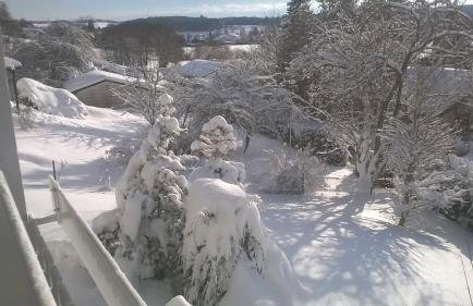 Sonnenoase am Dachsberg zwischen München, Tegernsee, Chiemsee, Messe München - Foto 19