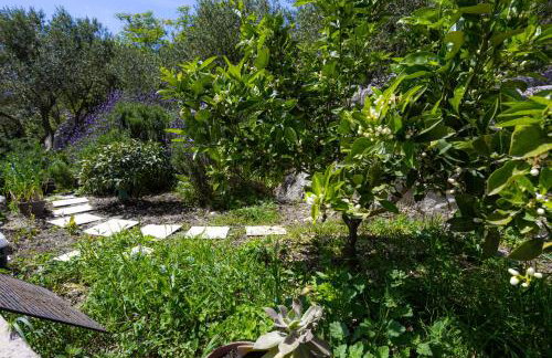 Apartment Skalin - Modern Comfort with a Local Touch - Foto 4