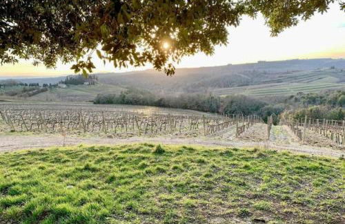 Casale Collecchio Siena - Foto 44