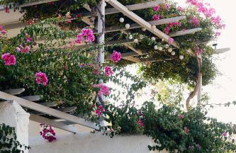 Villa Adara, splendide villa avec piscine et vue mer - Foto 59