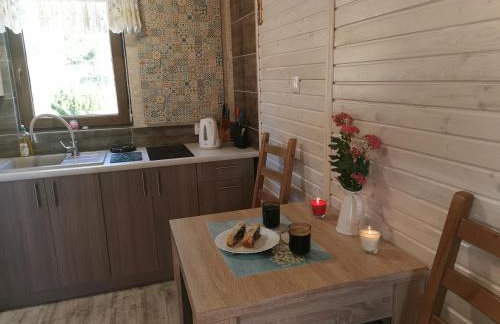 Domki Borowiackie nad brzegiem jeziora - Foto 21