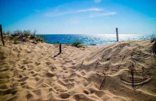 Summer Cape Escape - Photo 24