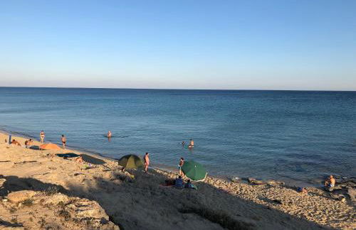 FICOMORO FARM - Foto 43